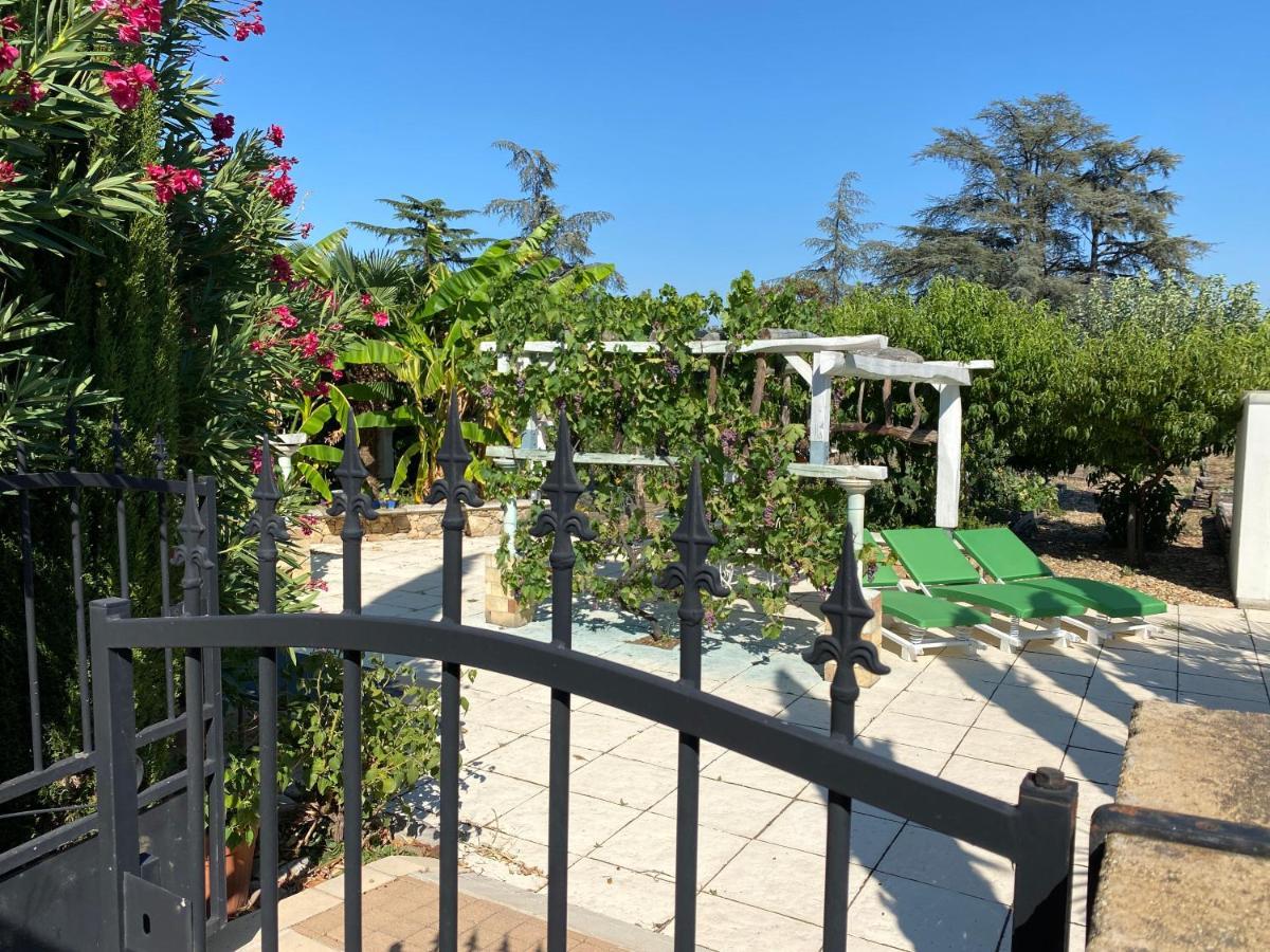 Chambres Privees Dans Maison Avec Grand Parc Et Piscine Proche Via Rhona Andancette Kültér fotó